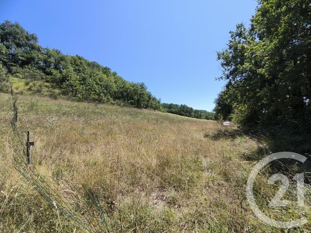 terrain à vendre - 3092.0 m2 - ORBESSAN - 32 - MIDI-PYRENEES - Century 21 J.V. Immo